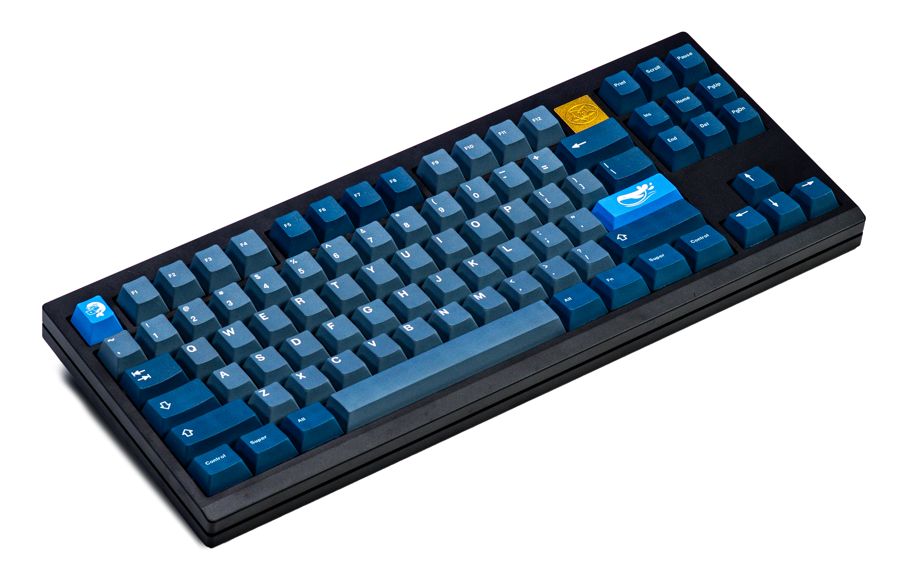 Whale PBT Keycaps V4